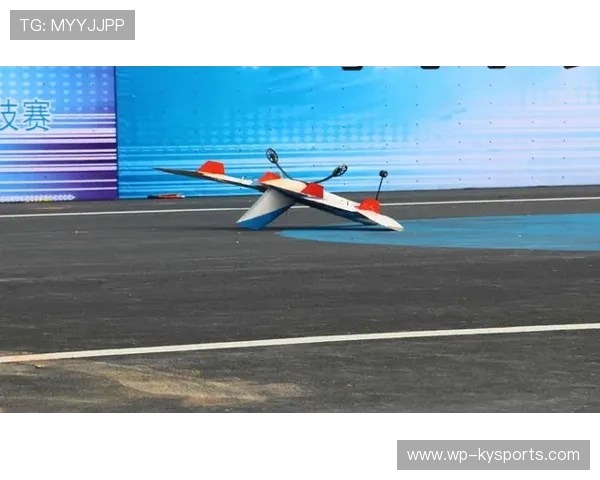 天空飞碟投掷大赛，空中竞技的趣味风潮，投掷飞碟的图片